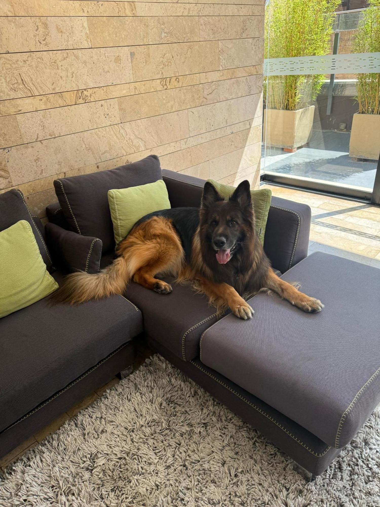 Central Apartamentos Bogota Ngoại thất bức ảnh